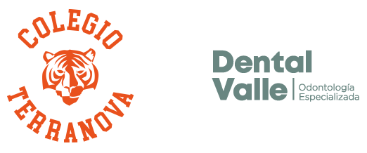 Dental Valle y Colegio Terranova